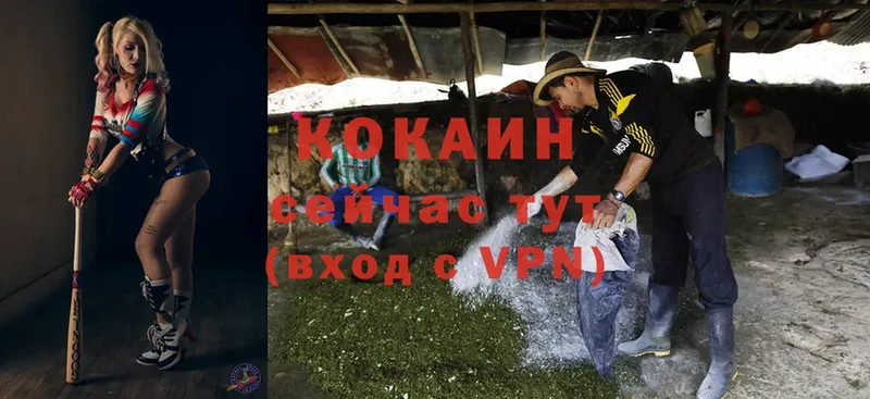 где купить наркоту  Будённовск  Cocaine 98% 